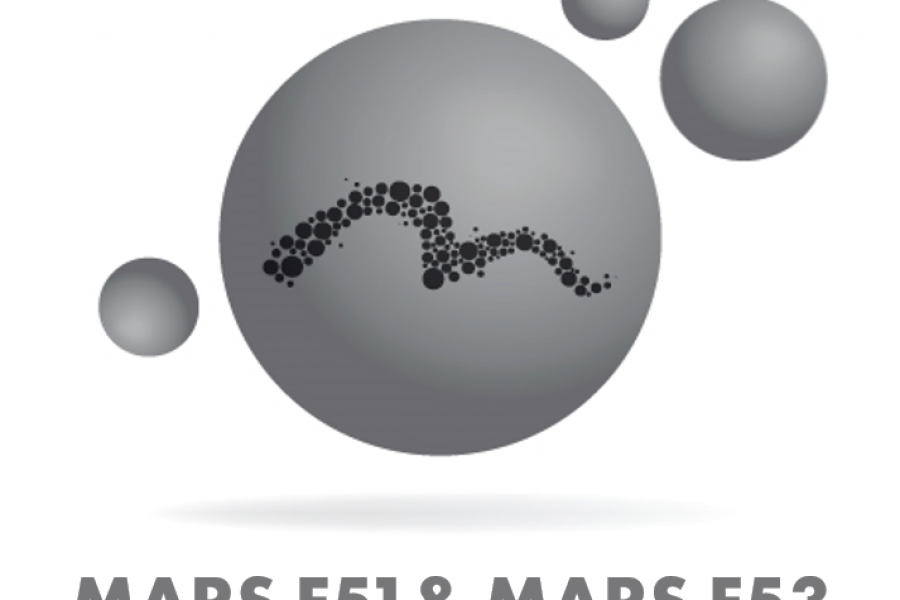MIMETE releases new iron-base powders MARS F51 & MARS F53 for demanding applications
